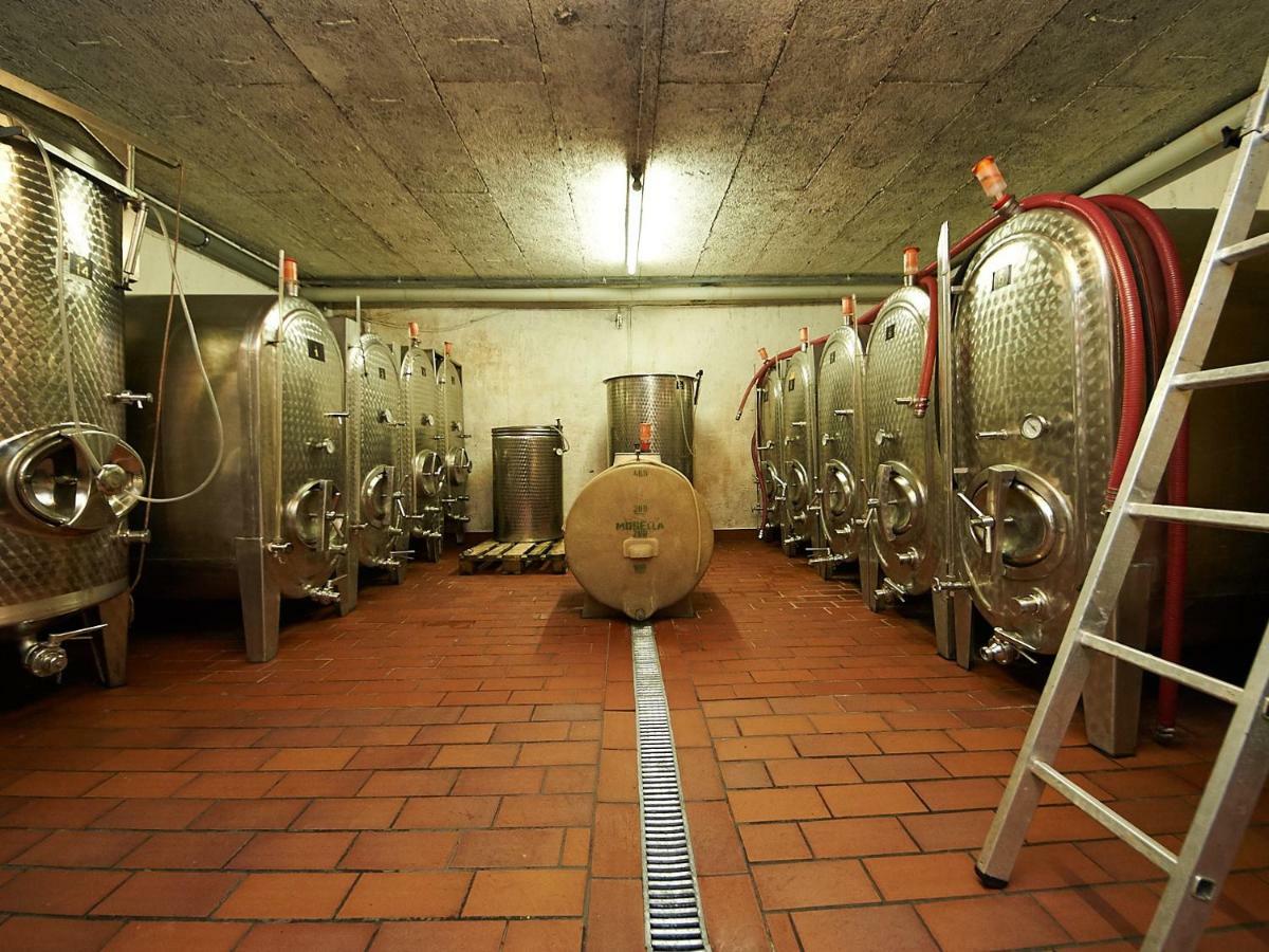 Ferienwohnung-Vinothek Keifer Kinheim Bagian luar foto