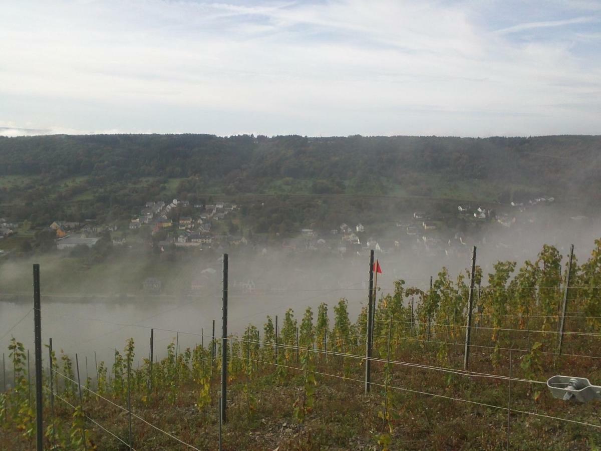 Ferienwohnung-Vinothek Keifer Kinheim Bagian luar foto