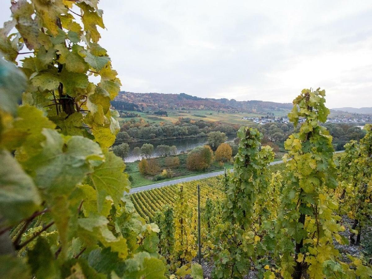 Ferienwohnung-Vinothek Keifer Kinheim Bagian luar foto